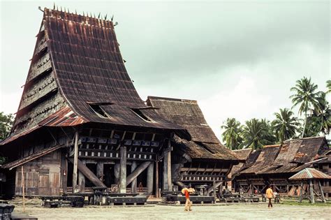  The Quirky Quest for the Talking Coconut: Un Unveiling Indonesian Folklore from the 2nd Century!